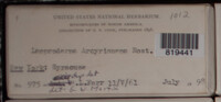 Image Associated With the Occurence